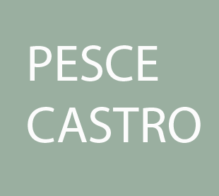 349 - Pesce - Castro