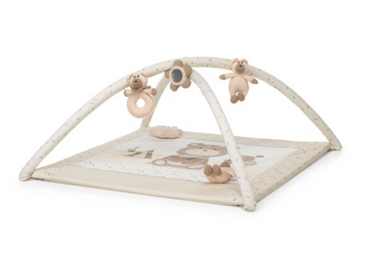 329 - Palestrina Foppapedretti Trainer