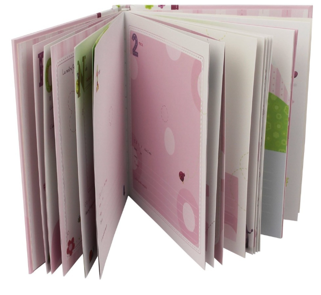 album diario chicco rosa 297