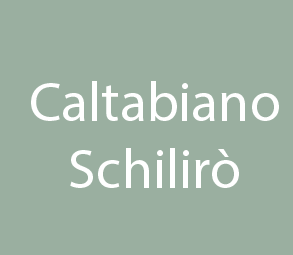 355 - Caltabiano - Schilirò