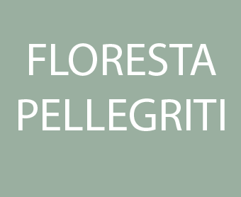 362 Floresta -  Pellegriti