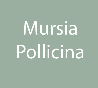 363 - Mursia - Pollicina
