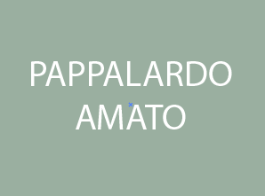 370 Pappalardo - Amato