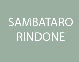 390 - Sambataro - Rindone