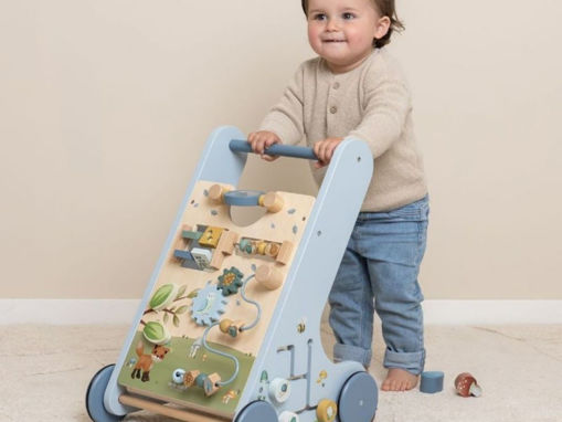 393 GIOCO LITTLE DUTCH PRIMI PASSI AZZURRO