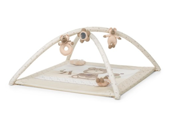 329 - Palestrina Foppapedretti Trainer