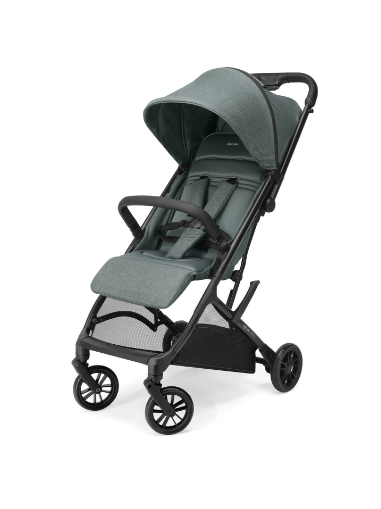 418- PASS LEGGERO SKETCH PINE