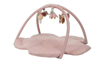 426- PALESTRINA LITTLE DUTCH ROSA