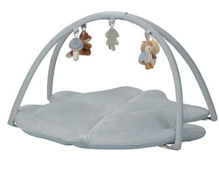 430 - PALESTRINA LITTLE DUTCH AZZ