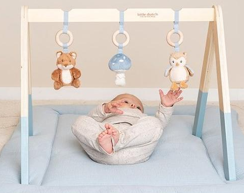 442 - PALESTRINA LITTLE DUTCH AZZ LEGNO