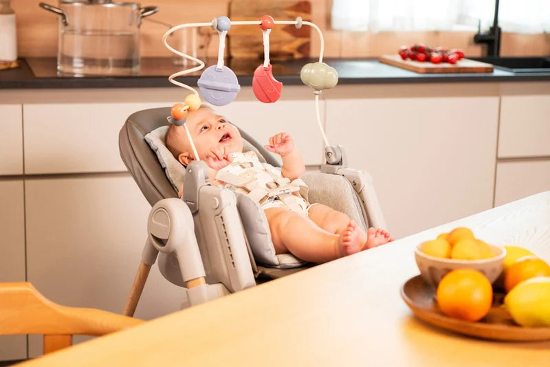 345 - Seggiolone Pappa Polly Armonia